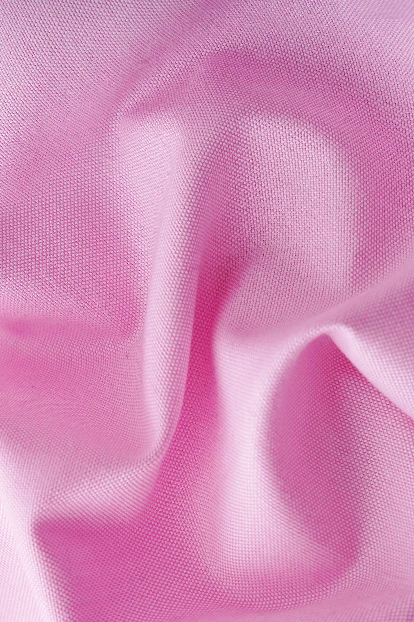 Button-Down Oxford Shirt Pink