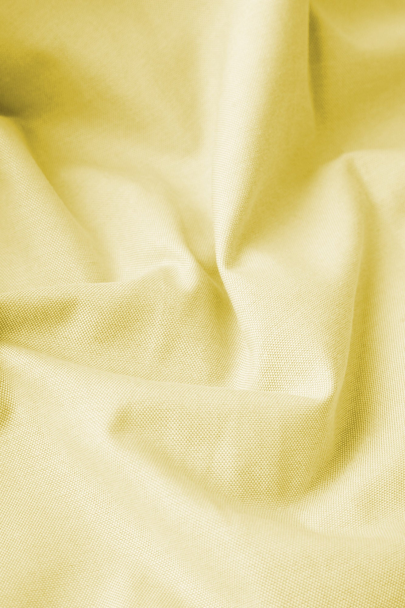 Button-Down Oxford Shirt Yellow